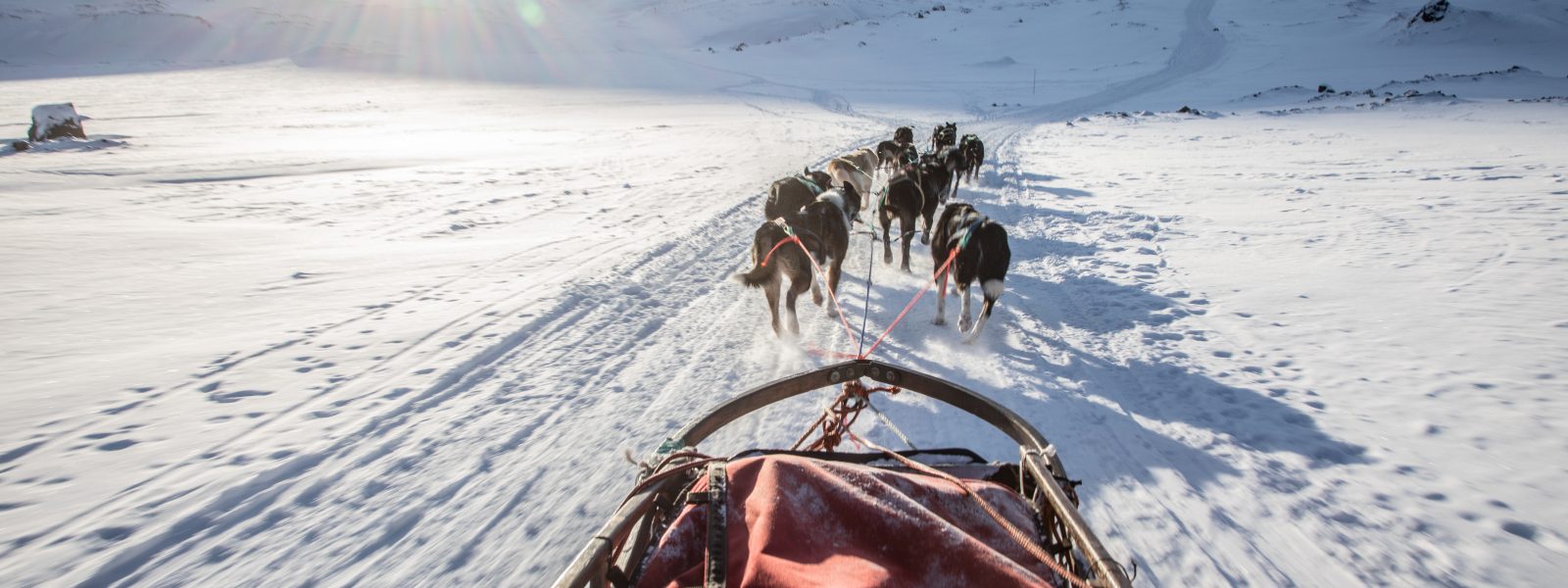 Dog team in Bolterdalen