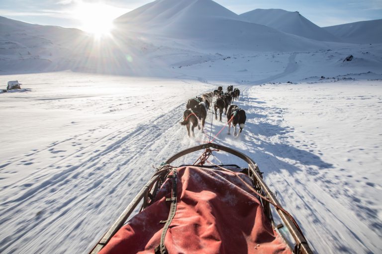 Dog team in Bolterdalen